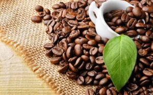 Cà phê Đắk Lắk – Tinh hoa cao nguyên trong từng giọt đậm đà